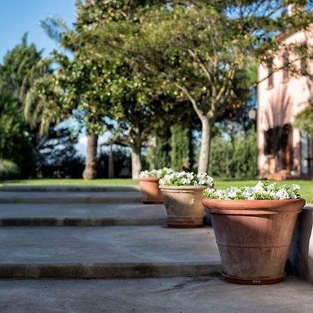 Agriturismo Sant'Uberto Bolgheri Extérieur photo