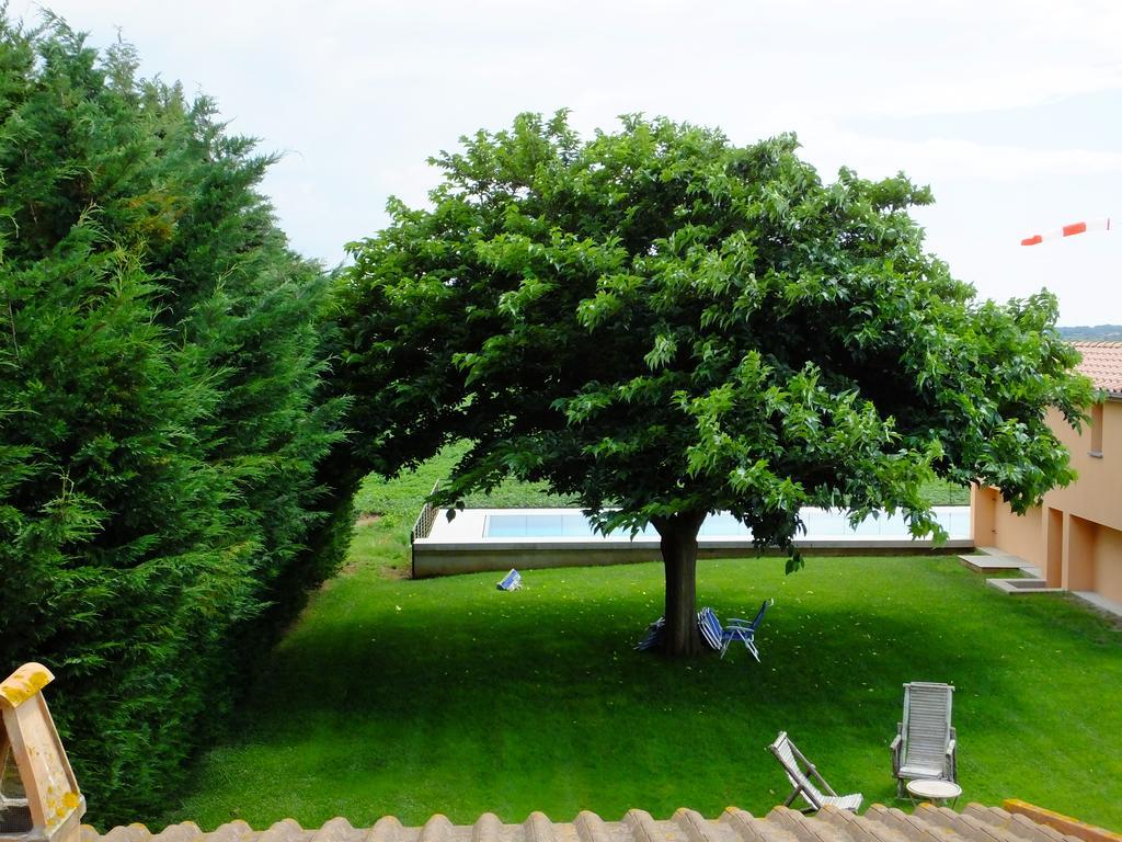 Agriturismo Sant'Uberto Bolgheri Extérieur photo