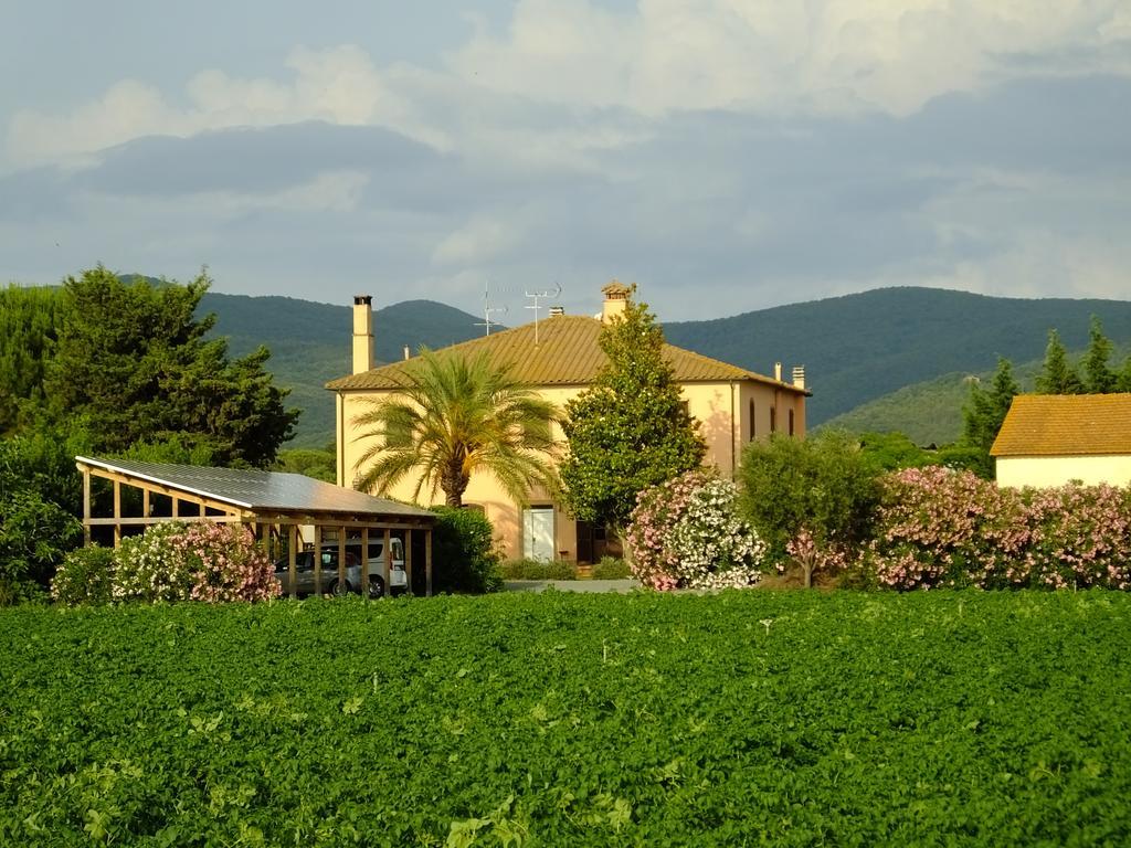Agriturismo Sant'Uberto Bolgheri Extérieur photo