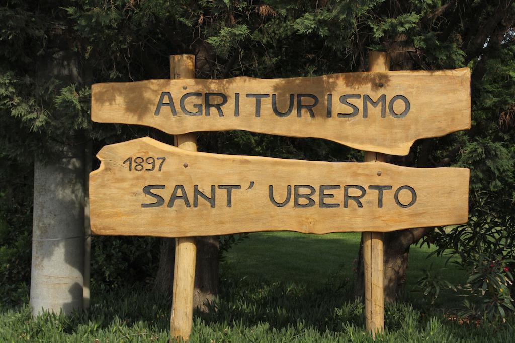 Agriturismo Sant'Uberto Bolgheri Extérieur photo