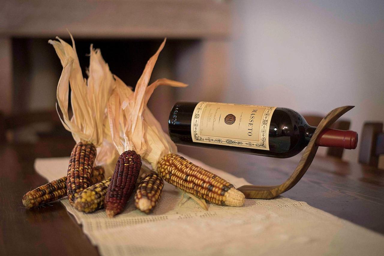Agriturismo Sant'Uberto Bolgheri Extérieur photo